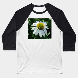 White Coneflower Baseball T-Shirt